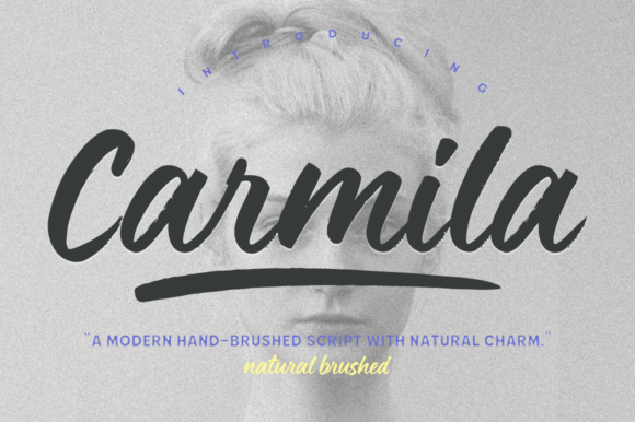 How Carmila Brush Transformed Our Brand Typography